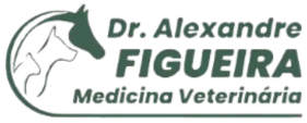 Dr. Alexandre Figueira